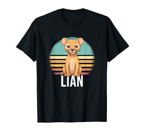 LIAN - Cute Boy Name with cute Lion T�V���c