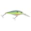 Racy Shad