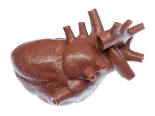 Miniblings - Miniblings Herz Brosche Organ Anatomie Medizin Arzt OP Chirurg Rot - Handmade Modeschmuck I Anstecknadel Button Pins