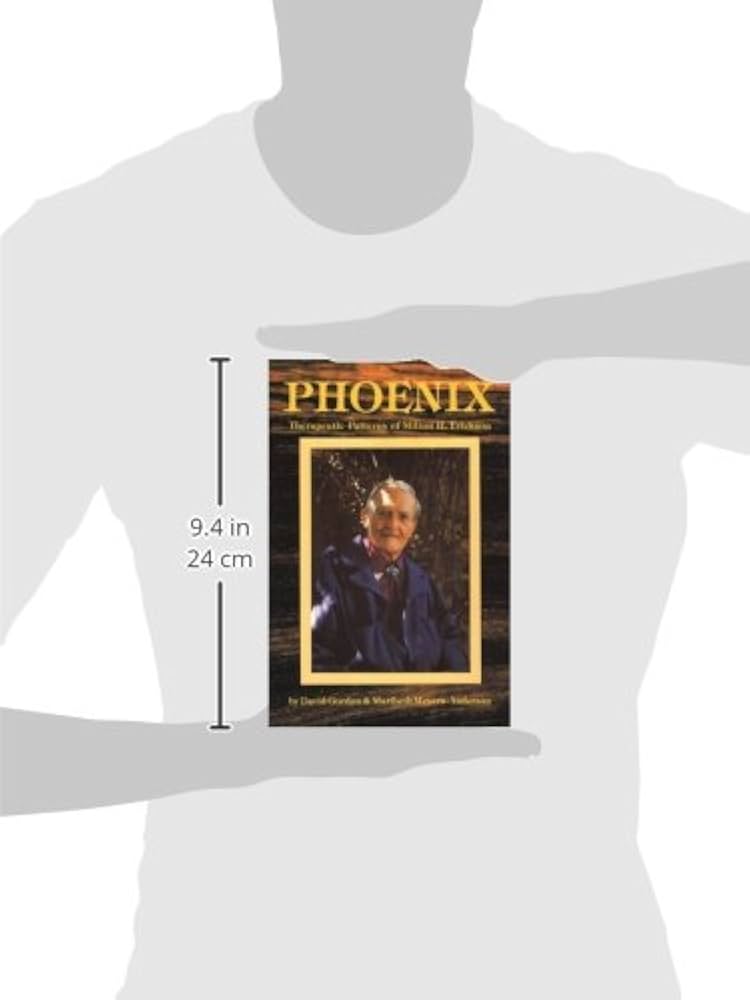 希少 Therapeutic phors by David Gordon Therapeutic Metaphors