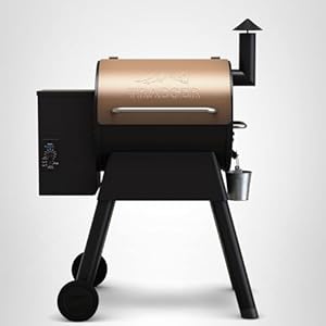 Traeger Grills Pro 22 Wood Pellet G...