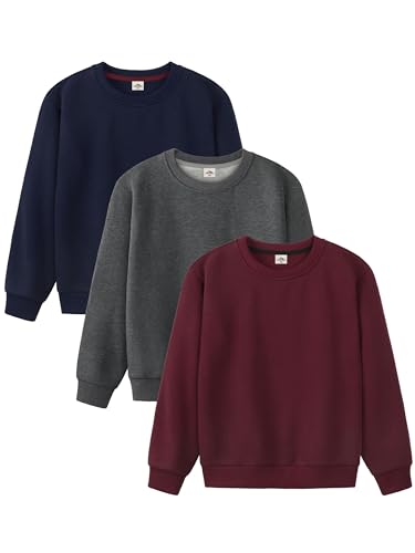 3 Pack Boys Sweatshirts Fleece Cotton Boys Long Sleeve Shirts Crewneck Kids Sweatshirts Soft Pullover Tops for Kids