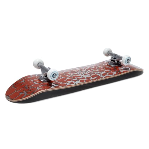Image of [CCS] Skateboard Complete | Maple Wood | Professional Grade | Fully Assembled with Skate Tool & Stickers | Adults, Kids, Teens, Youth | Boys & Girls