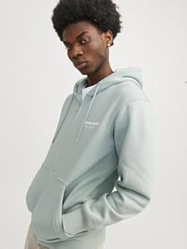 JACK & JONES Herenhoodie met ritssluiting, maanbeam, XL : Jack & Jones