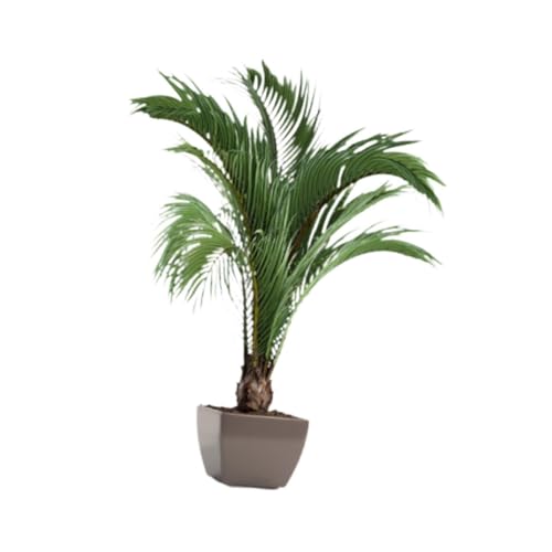 siduytin Pegatinas de pared con plantas verdes vibrantes, 3D, botánicas, para dormitorio, cocina, sala de estar, hojas en maceta