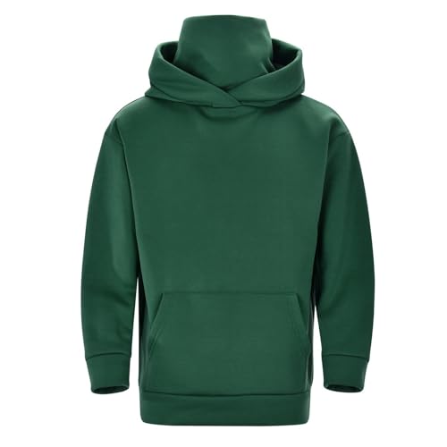 Mens Casual Hooded Warm Collared Fashion Pullover Hoodie Sweatshirt Long Sleeve Outdoor Workout Tops with Pockets