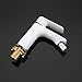 REPLYSAT Kitchen Taps Bidet Shower Set Bidet Faucet Bathroom Faucet Bidet Shower Head Brass Toilet Bidet Mixer Tap Sink Faucet