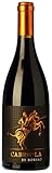 Vino tinto D.O. Campo de Borja