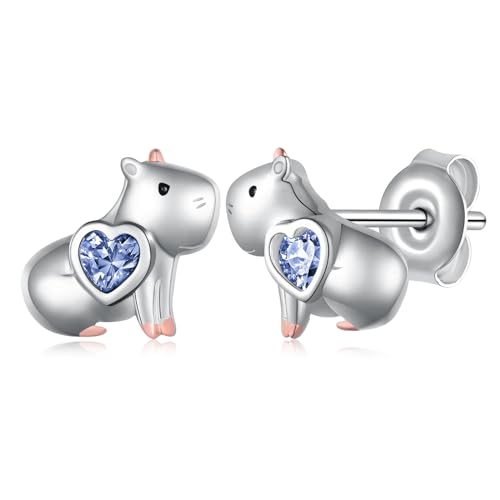 Capybara Gifts Capybara Earrings 925 Sterling Silver Lovely Capybara Stuff Birthday Gifts Jewelry Birthstone Earrings for Women