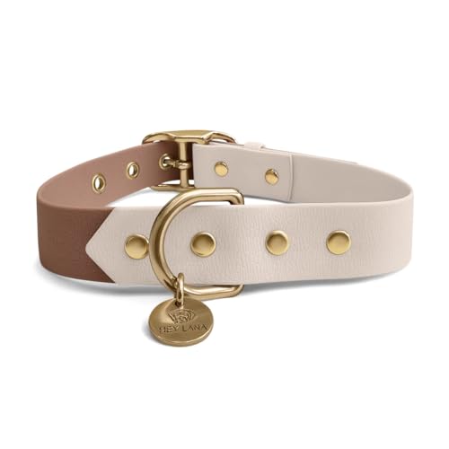 Collier chien entraînement imperméable Mousse taille S ajustable