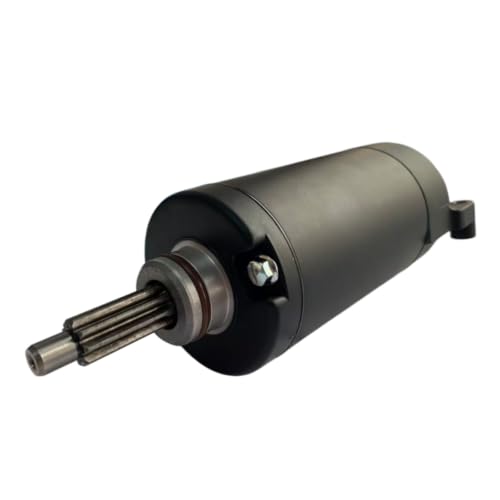 Starter Motor Assembly F02J10000001 para Segway Fugleman miniatura 3