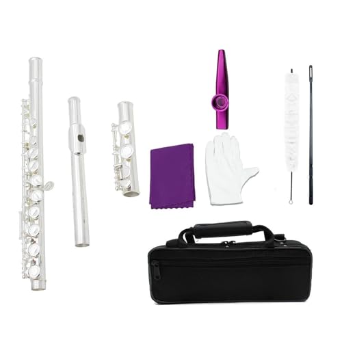 �t���[�g 16���N���[�Y�h�z�[���t���[�gC�L�[�t���[�gE�L�[�t���▭�ȃs�b�R���s�b�R���͏��S�҂̉��t���K�ɓK���Ă��܂� (Color : A5 silver flute)