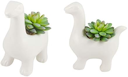 Azzure Home Ceramic Animal Succulent, Plants and Home Decor - (Dinosaur)