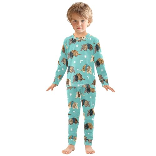 Pajama Sets Long Sleeve Animal Armadillo on Blue Soft Comfy Sleepwear 2 Piece PJS 3-8T2
