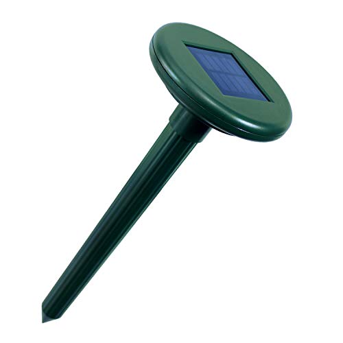 \[[[dOފ SK-3217 ގ g U K[fjO St  (1)