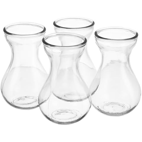GANAZONO 4pcs Clear Glass Bud Vases Cover