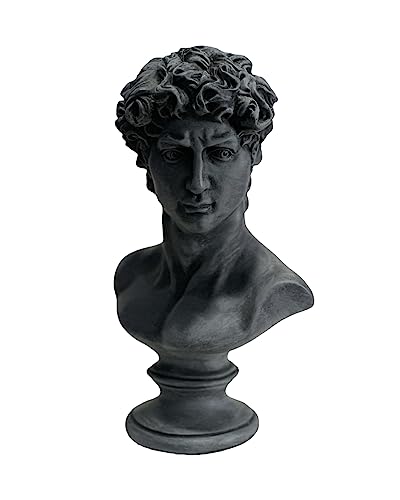 Opiniones de Esculturas - los más vendidos. 43 Busto De David Escultura Griega Estatua Decoración Hogar Oficina Negro Gris Blanco (Gris)