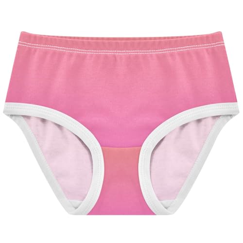 Joisal Aesthetic Toddlers Underwear Floral 2t Cotton Panties for Girl Coral Pink Rose Gradient Kids Briefs Undies