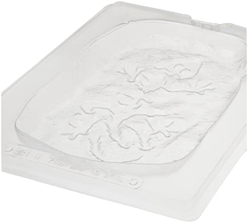 Dinosaur Fossil #TOP3