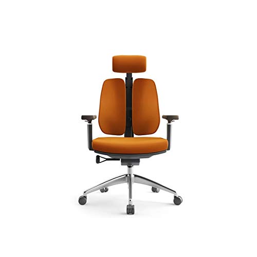 MIIKHI Creative Computer Chair Ergonomic Spine Chair Simple Waist Double Back Chair Mesh Office Chair Vision to Pursue