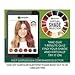 Garnier Olia Ammonia-Free Brilliant Color Oil-Rich Permanent Hair Color, 6.43 Light Natural Auburn (Pack of 2) Red Hair Dye