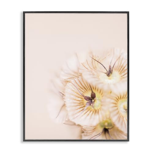 Close Up Pink Flower Anther, 11 x 14 Inch Framed Giclée Print