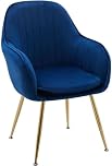DS Furniture Velvet Tufted Vanity Chair, Armchair with Golden Metal Legs, Angled Back For Living Room Bedroom, Dining Room (Navy Blue)