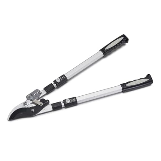 Best garden ratchet pruners Kings County Double Ratcheting Lopper