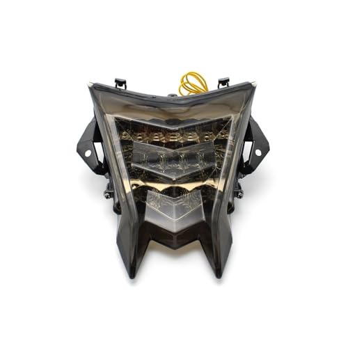 Feu arrière clignotant intégré S1000R indicateur frein LED