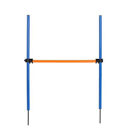 Dog Agility Equipment Best Wooden Seesaw for Dogs