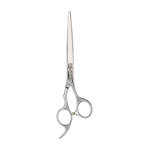 EBTOOLS 6 Inch Professional Hair Scissors Set, Includes Thinning Shears
