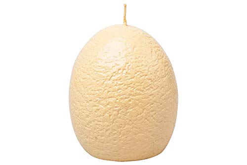 T-Rex Dinosaur Hatching Eggs Candle