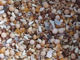 CENTRAL FISH AQUARIUM Pigeon Bird Food for All Types of Pigeons 13 Mix Seeds (1kg) (B0BTVRK5MD) Amazon Price History, Amazon Price Tracker