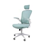 Cadeira Ergonômica Eurynom, Giratória, para Escritório e Home Office, com Encosto Reclinável (Modo Balanço), Braços Pivotantes, Apoio de Cabeça, Apoio Lombar (Azul Esverdeado)