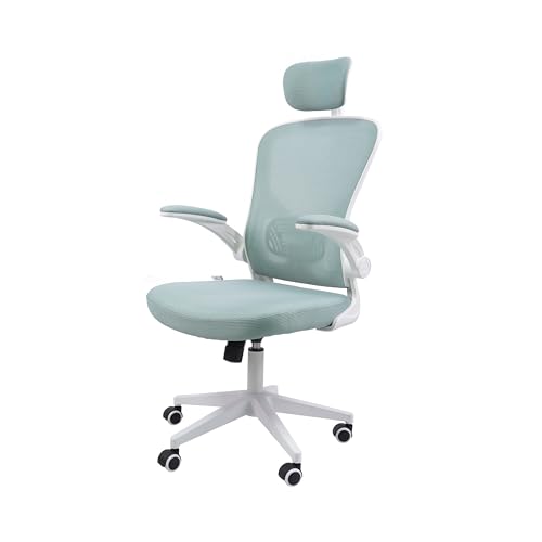 Cadeira Giratória Ergonômica Eurynom com Suporte Lombar