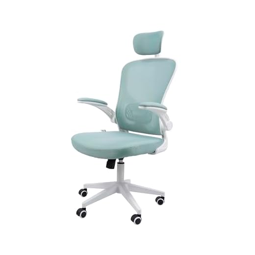 Cadeira Ergonômica Eurynom, Giratória, para Escritório e Home Office, com Encosto Reclinável (Modo Balanço), Braços Pivotantes, Apoio de Cabeça, Apoio Lombar (Azul Esverdeado)