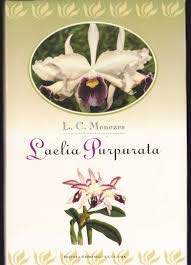 Genus Cyrtopodium - Brazilian species