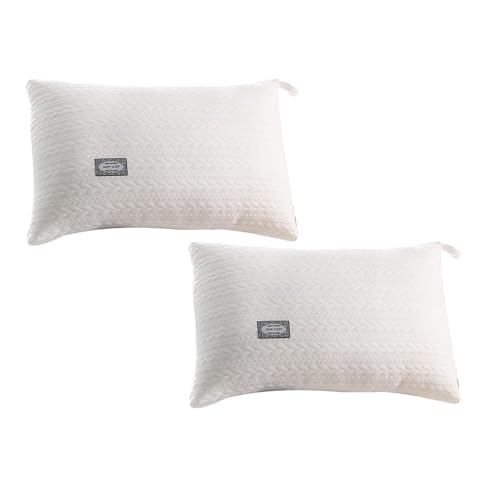 Queen Size Pillows Set of 2, Fluffy Skin-Friendly Ultra Soft Microfiber Filling Hypoallergenic Pillow for Sleeping,Breathable Cooling Luxury Supportive Sleep Pillow for Side,Back,Stomach Sleepers - image 1