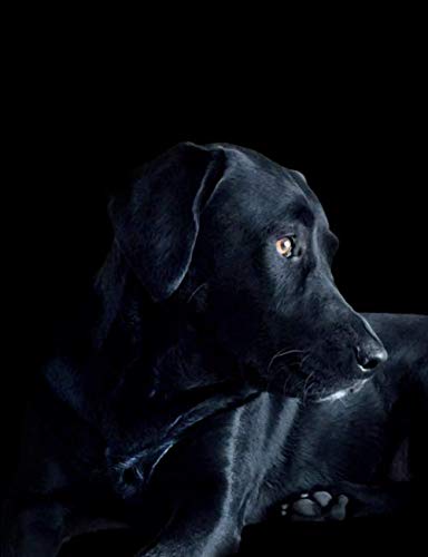 Black Lab: Notebook pages are half blank and half gridded for all of your projects or notes