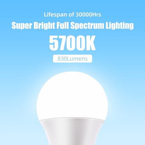 Realmoon SUN-A19-9W Full Spectrum Sun Light Bulb - A19 9W, Boosts Energy, Mood & Performance, Near-Perfect Color Rendering, Imitate Sunlight Indoors thumb #7