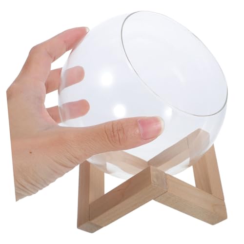 Station de propagation en verre et bois, cadeau déco idéal