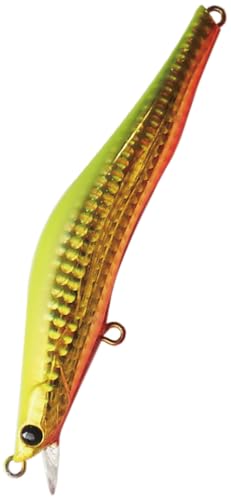 uCYAC(Blazeye) EVOROOTS 120SF (GH[c) #43 `[gobNg@