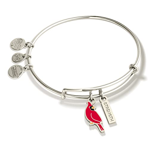 Alex and Ani Bangle Bracelet