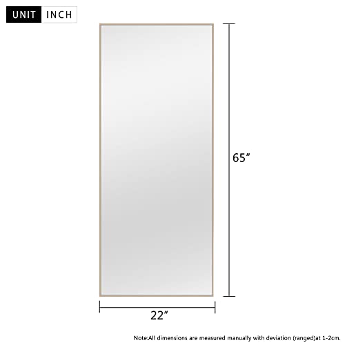 Image of NeuType Full Length Bedroom Wall-Mounted Floor Mirror with Standing Holder (Matte Champagne)