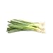 Organic Green Onion (Scallions), One Bunch