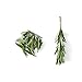 Chef'n Zipstrip Herb Stripper, Arugula/Avocado -