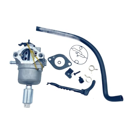 Carburateur moto 496796 pièce de rechange moteur pour 499153 et 695412