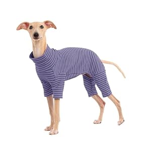 Dog Sweaters for Small Dogs Girls B...