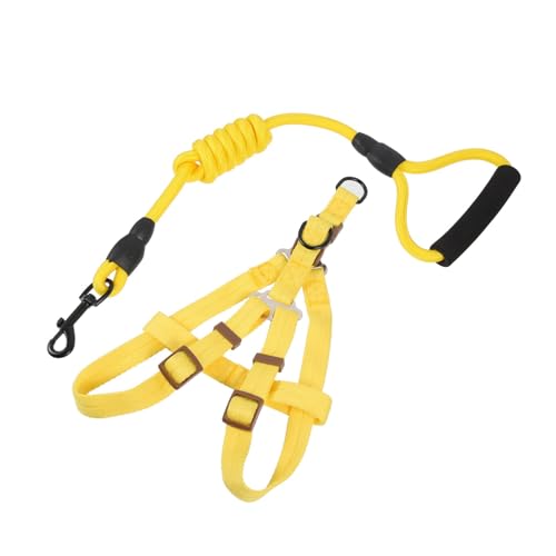 DEARMAMY pn[lX[h _炩K ʋCǍD 畆ɗD Lkϋv[vt Ug[jO ^^Ή