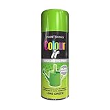 PNJB Lime Green All Purpose Aerosol Spray Paint, Quick Drying Spray, Versatile, Fast Dry And Excellent Coverage For Metal, Wood, Plastic, 400ML (1PCS)